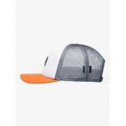 Кепка Quiksilver omnipotent snow white