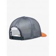 Кепка Quiksilver omnipotent snow white