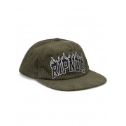 Кепка Ripndip fire spirit snapback light forest