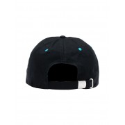 Кепка Ripndip summer revenge 6 panel black
