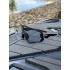 Солнечные очки BroStuff lineup matt black silver/blue photochromic Солнечные очки BroStuff lineup matt black silver/blue photochromic