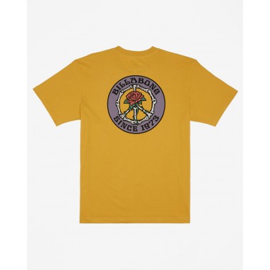 Футболка Billabong bonez citrus Футболка Billabong bonez citrus