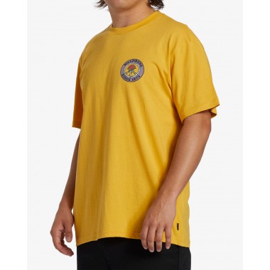 Футболка Billabong bonez citrus Футболка Billabong bonez citrus