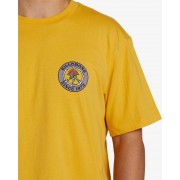 Футболка Billabong bonez citrus
