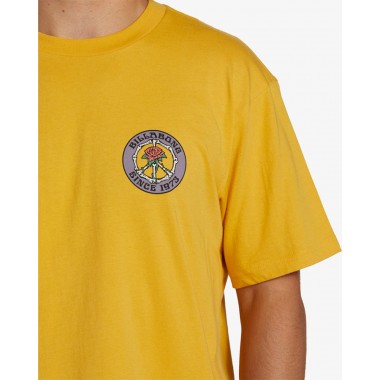 Футболка Billabong bonez citrus Футболка Billabong bonez citrus