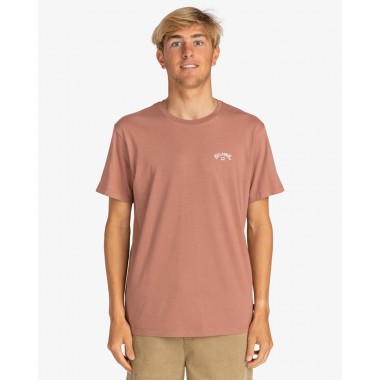 Футболка Billabong arch crew rosewood Футболка Billabong arch crew rosewood