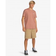 Футболка Billabong arch crew rosewood