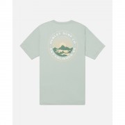 Футболка Hurley evd explore range muted aloe