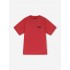 Футболка Vans double standard crimson haze Футболка Vans double standard crimson haze