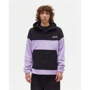 Толстовка Anteater fleece black violet