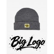 Шапка BroStuff big logo graphite