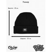 Шапка BroStuff city logo black