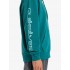 Толстовка Quiksilver omni logo teal green Толстовка Quiksilver omni logo teal green