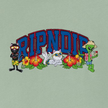 Толстовка Ripndip summer friends sage Толстовка Ripndip summer friends sage