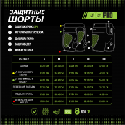 Защитные шорты BroStuff double pro protection spo