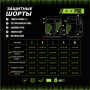 Защитные шорты BroStuff rookie protection spo
