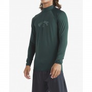 Гидромайка Billabong arch wave billiard